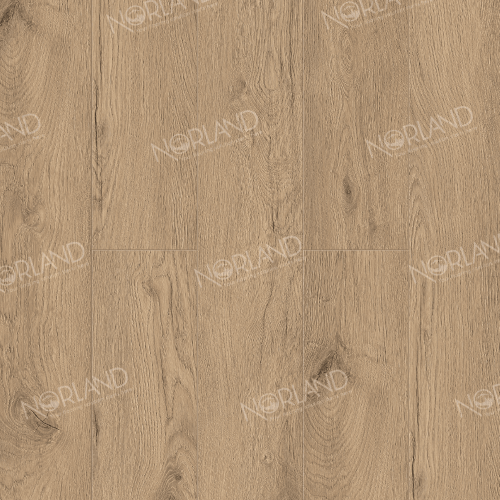 https://bitrix.alpinestore.su/upload/iblock/a0c/va0dziu0572o4tdqd41s4ofcop0xz0mq/1022_6_panno.png