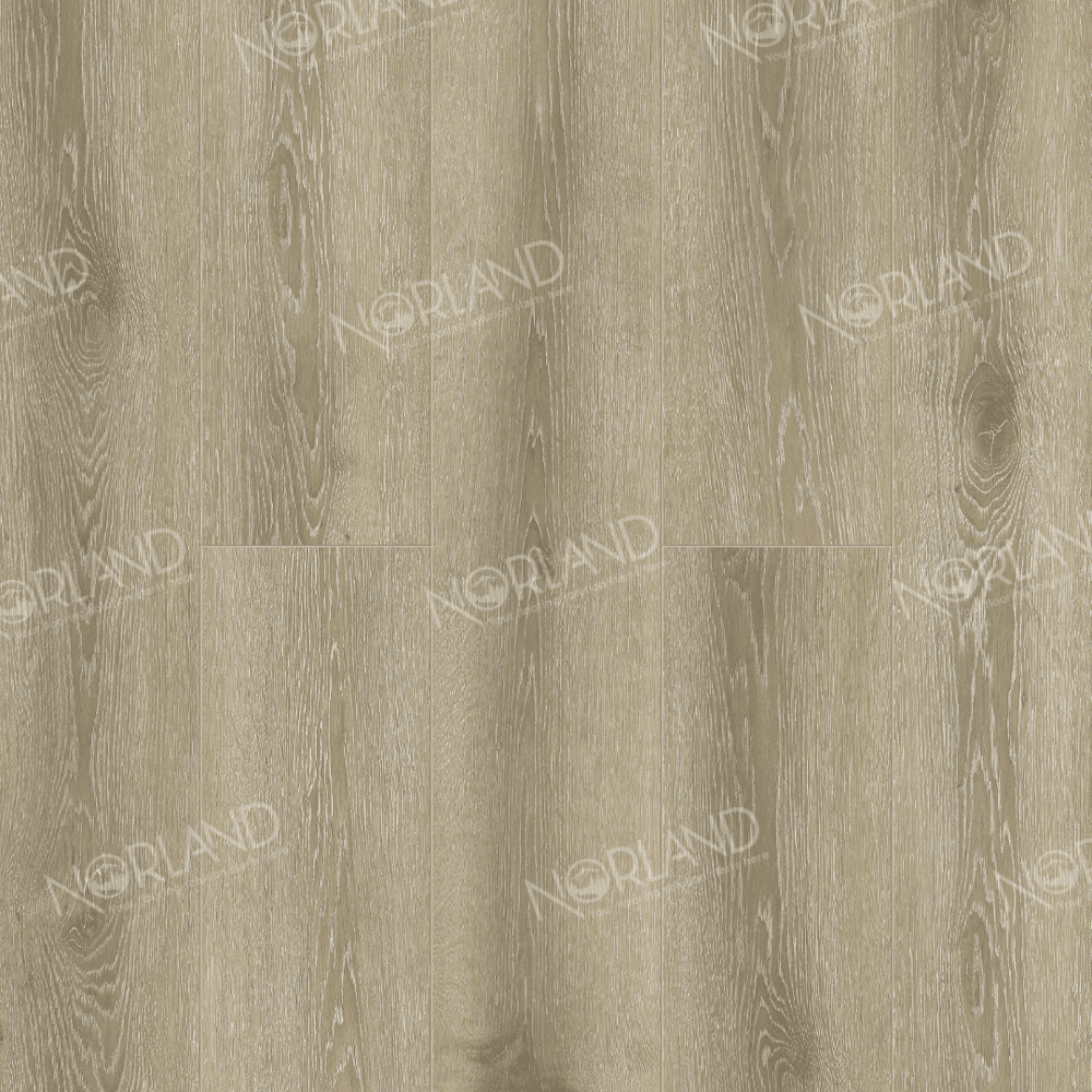 https://bitrix.alpinestore.su/upload/iblock/a40/c89elk070vuga4z6svl0rkl0fyh5yq61/1022_3_panno.png