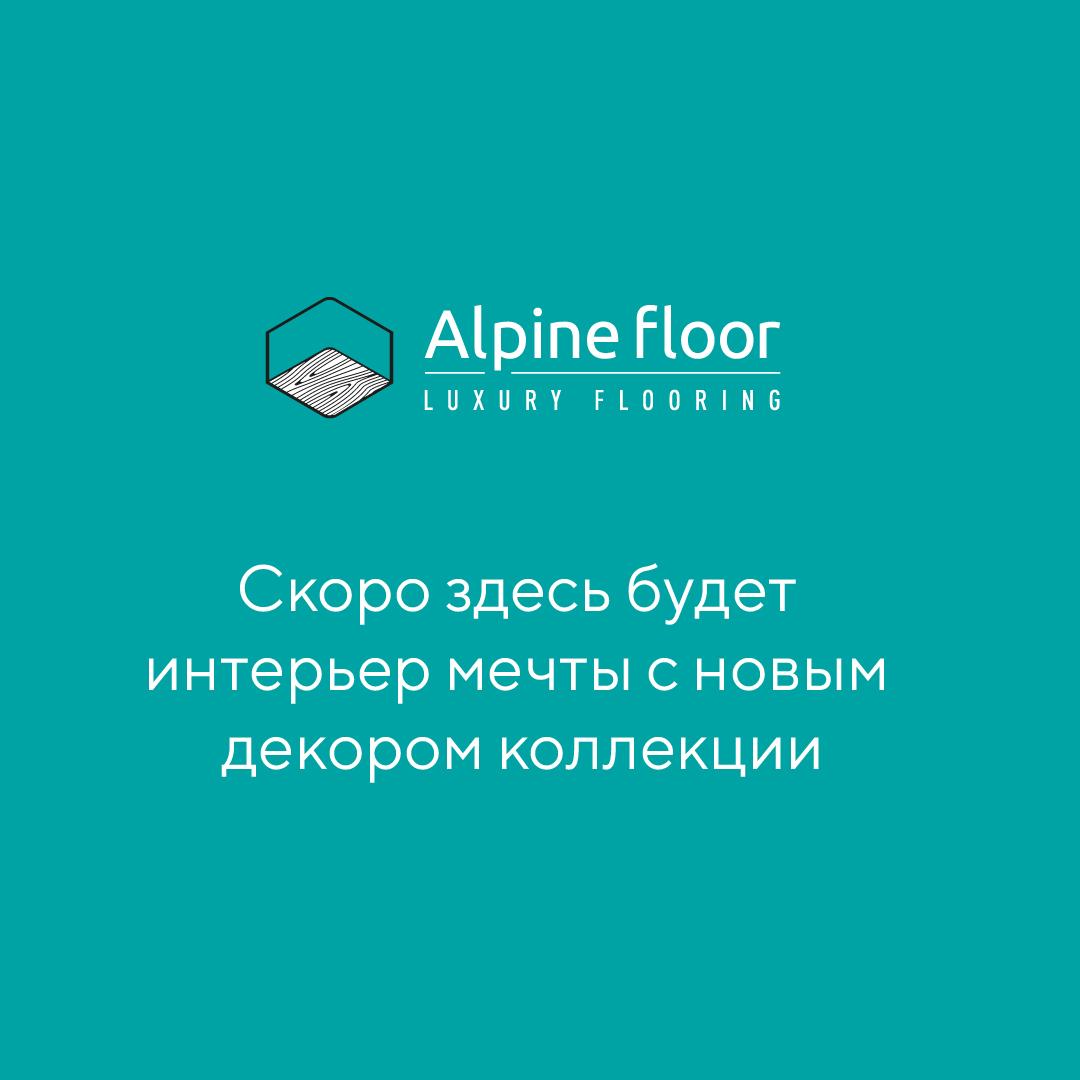https://bitrix.alpinestore.su/upload/iblock/34e/u970oqhxe8a8dktc8aiele2b19skehst/alpine.jpg